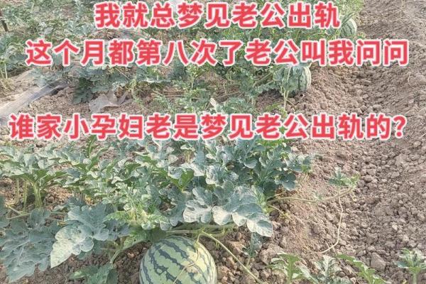 孕妇做梦梦见老公出轨是怎么回事