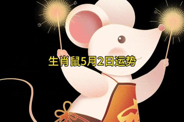 84年鼠2025年财运怎么样(84年鼠2025年财运怎么样)