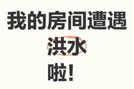 梦见房子进了很多水