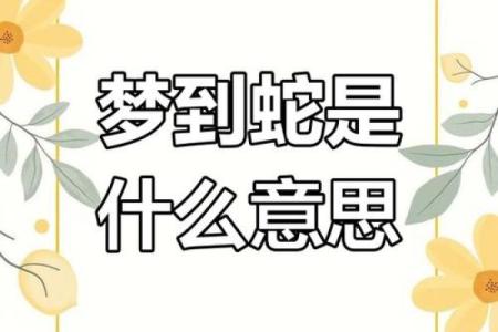 女人梦见大蛇代表啥