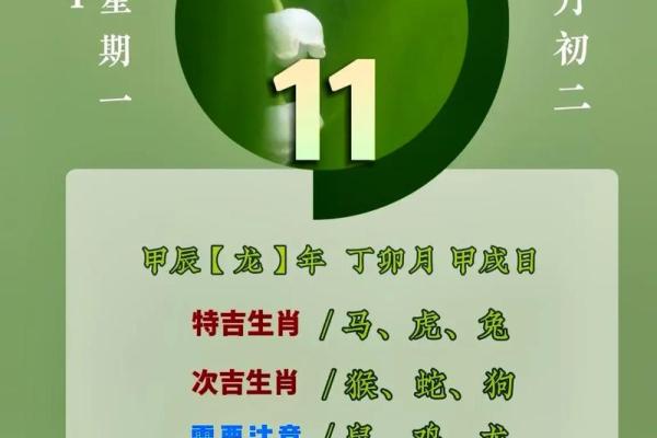 一见如故是什么生肖