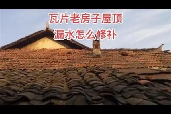 梦见小时候住的老房子漏雨