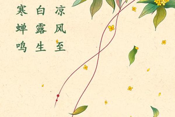 立秋是不是属于秋天 节气立秋是秋天了吗