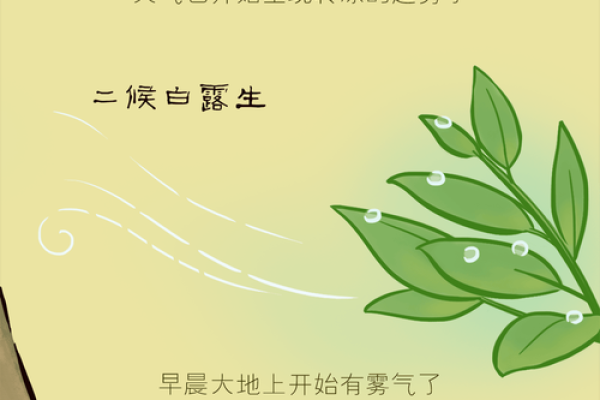 立秋是不是属于秋天 节气立秋是秋天了吗