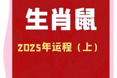 1984女鼠2025全年运势(1984年属鼠2025年运势)