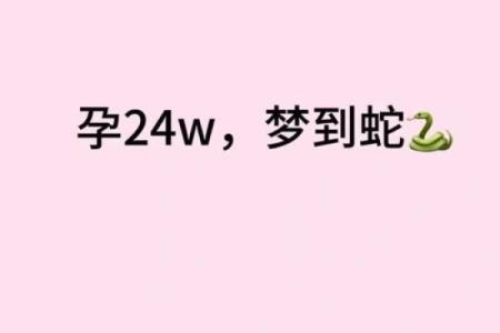 老是梦到蛇是什么意思
