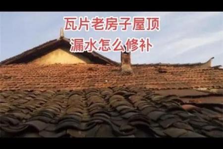 梦见小时候住的老房子漏雨