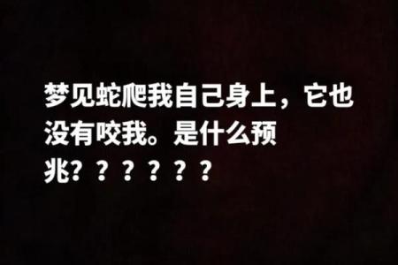 梦到被蛇追着咬