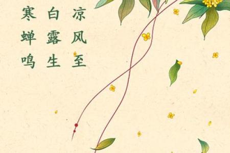 立秋是不是属于秋天 节气立秋是秋天了吗