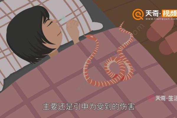 昨晚梦见蛇咬我是什么意思
