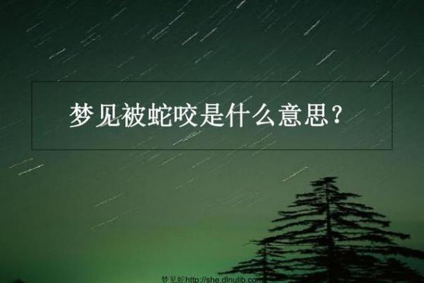 昨晚梦见蛇咬我是什么意思