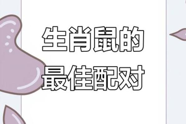 属鼠和属牛的财运怎么样(属鼠和属猪的合不合财运)