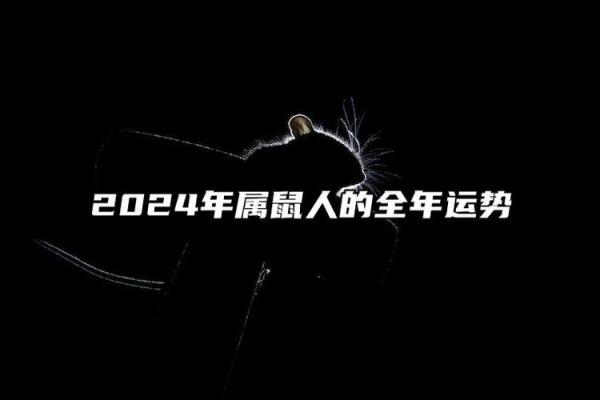 72年属鼠2024年运势及运程(72年属鼠2024年运势及运程全年)