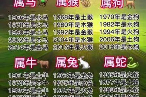 一五一十是什么生肖