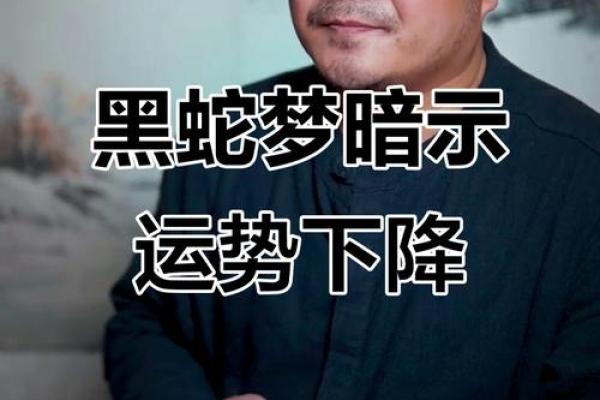 梦见黑蛇是怎么回事