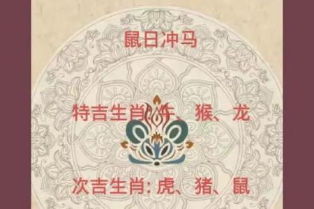 72鼠2025年运势及运程(72鼠2025年运势及运程女)