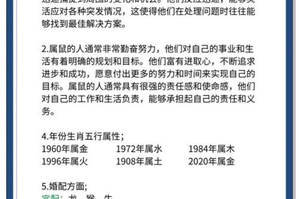 属鼠人一生运势详解(属鼠人一生的运势)