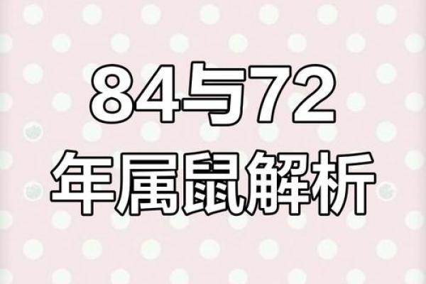 72年鼠男今日运势(72年属鼠今日运程每日运势查询)