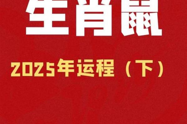 72年鼠男今日运势(72年属鼠今日运程每日运势查询)