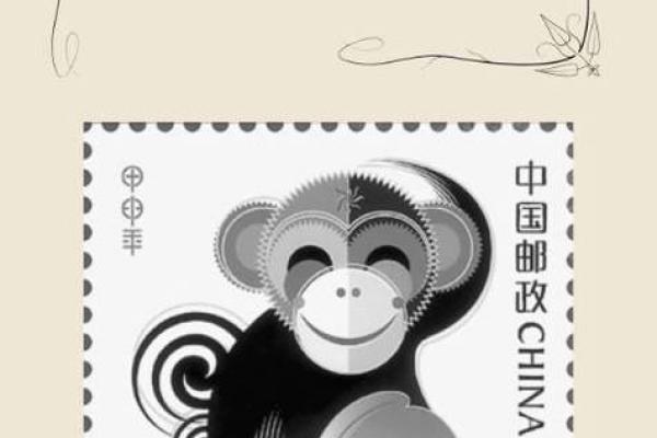 打贪风暴是什么生肖