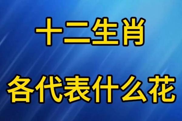 金花指什么生肖