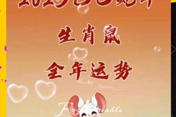 属鼠的今年运势(属鼠的今年运势和财运怎么样女)