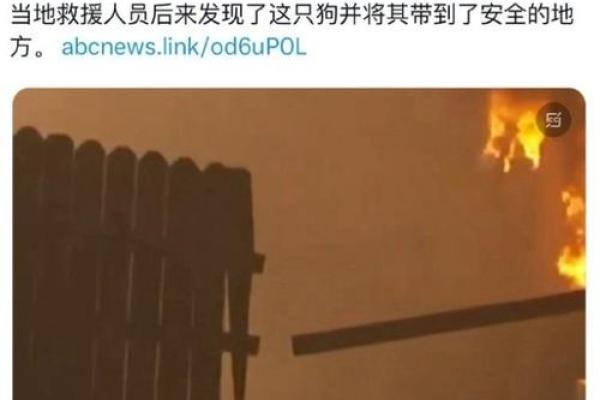 做梦大火烧房子预兆