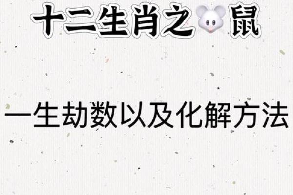 1996年属鼠的婚姻运势(1996年属鼠的婚姻运势怎么样)