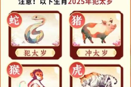 72年女鼠2025年运势完整版(72年鼠女2023年运势完整版)