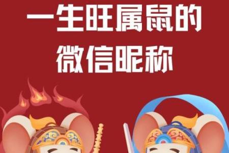 属鼠的人2025鼠年全年运程(96年鼠过了28岁会越来越好)