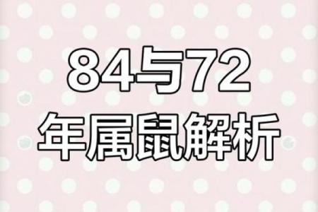 72年鼠男今日运势(72年属鼠今日运程每日运势查询)