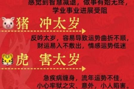 金花指什么生肖