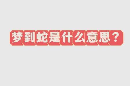 梦见被窝里有蛇