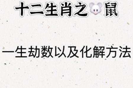 1996年属鼠的婚姻运势(1996年属鼠的婚姻运势怎么样)