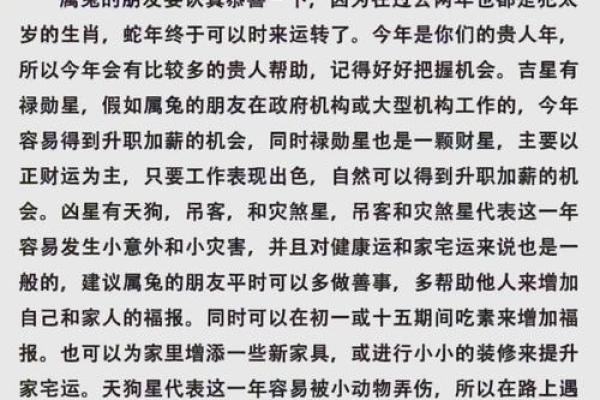 2025属鼠女的全年运势及运程(属鼠的2025年财运各方面怎么样)