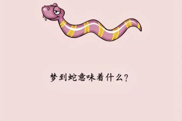 梦见白色蛇