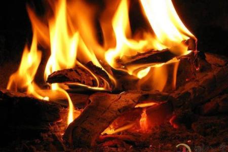 梦见房子着完火了