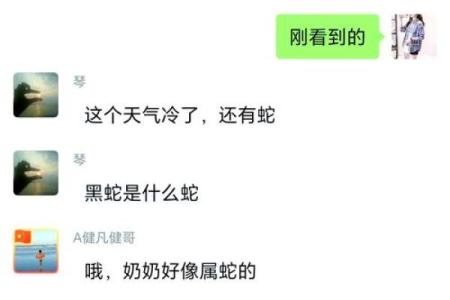 晚上梦到蛇是什么征兆