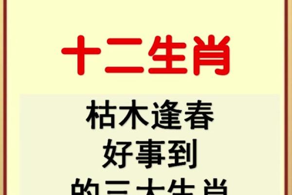 鹏程万里打一准确生肖