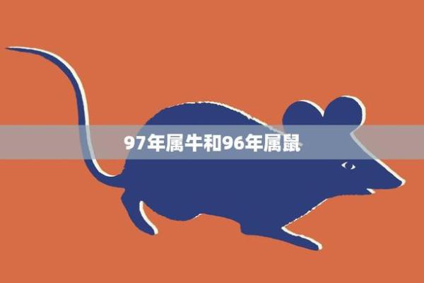 属鼠和属牛的合不合财运(属鼠和属牛相合不合)