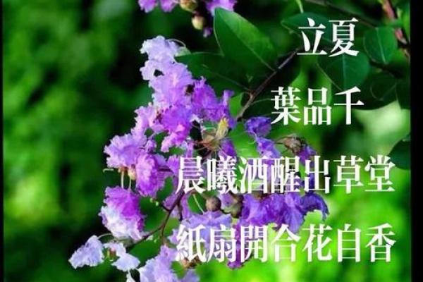 立夏温馨的祝福语(最新100句) 2024立夏节气祝福语大全