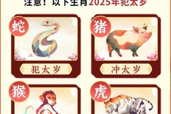 2025鼠人运程1972每月运势(2025鼠人运程1972每月运势女)