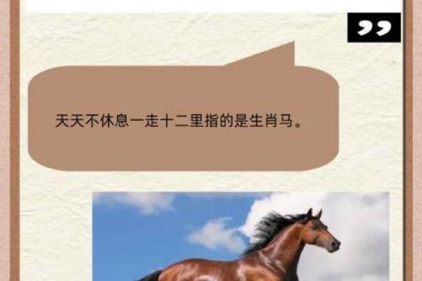举国上下指什么生肖