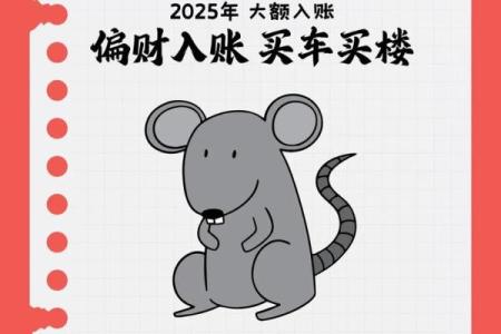 属鼠今日运势偏财运(属鼠今日运势财运方位)