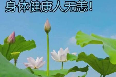 立夏温馨的祝福语(最新100句) 2024立夏节气祝福语大全