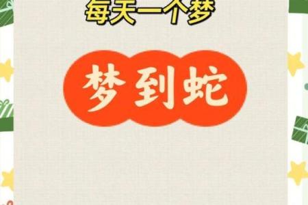 梦见成千上万条蛇