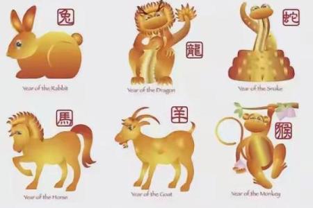 举国上下指什么生肖