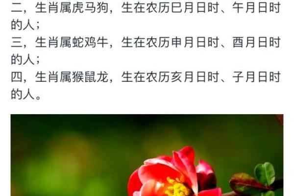 倚此为命是什么生肖 倚此为命打一生肖是什么