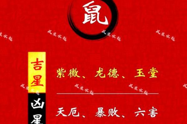 1972年属鼠2025年运势及运程(1972年属鼠人2023年运势运程每月运程)
