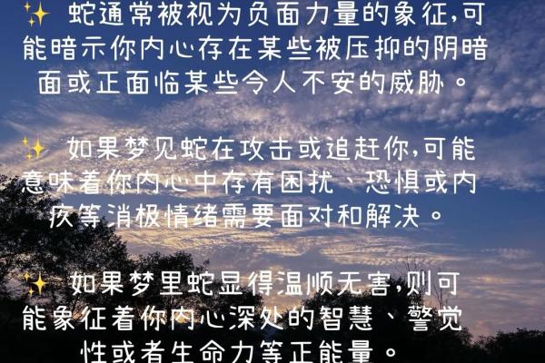 梦到蛇和乌龟